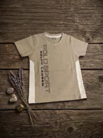Boys Two-Tone Vertical Graphic Short Sleeve T-Shirt (Ages 3–5)